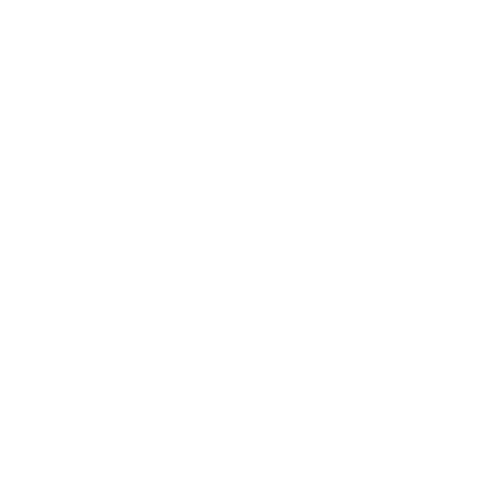 Zupotis.xyz